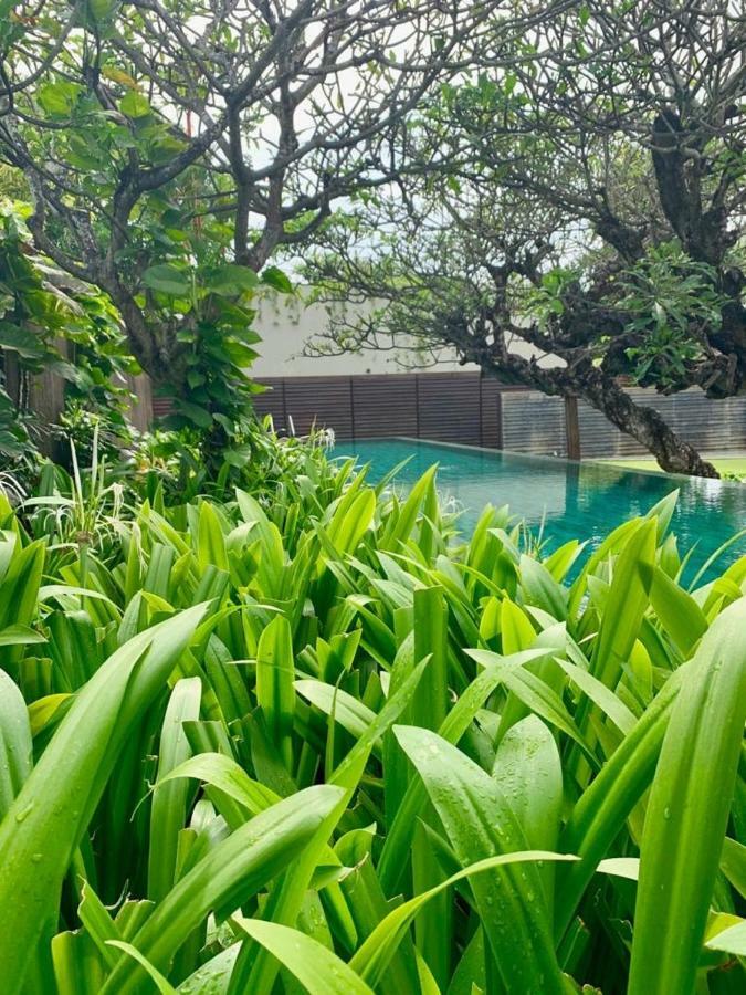 Ziva A Residence 塞米亚克 外观 照片